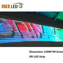 144Pixels par mètre Pixel Led Strip Lamp